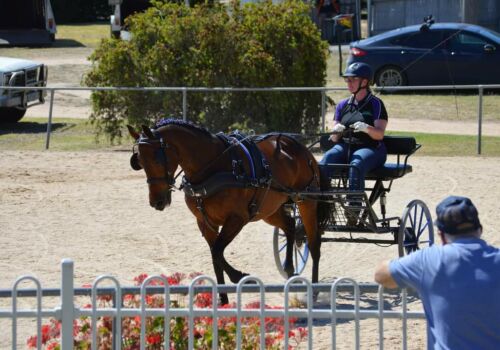 Tash and Dusty (Out Alice) @ Stawell Harness