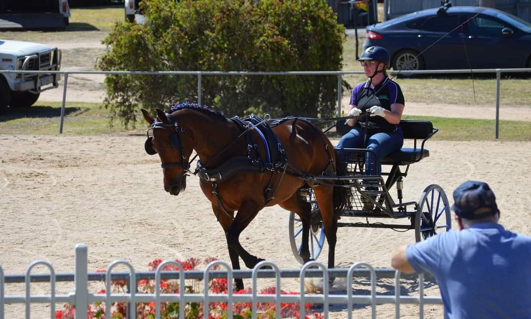 Tash and Dusty (Out Alice) @ Stawell Harness