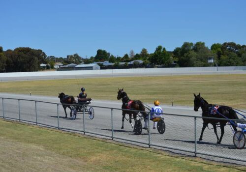 Tash and Dusty (Out Alice) @ Stawell Harness2