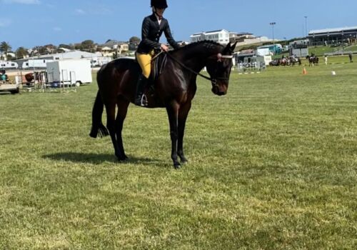 Rooney - Warnambool Show Oct23-3