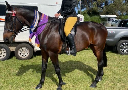 Rooney - Warnambool Show Oct23