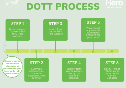 DOTT Process-wlogo