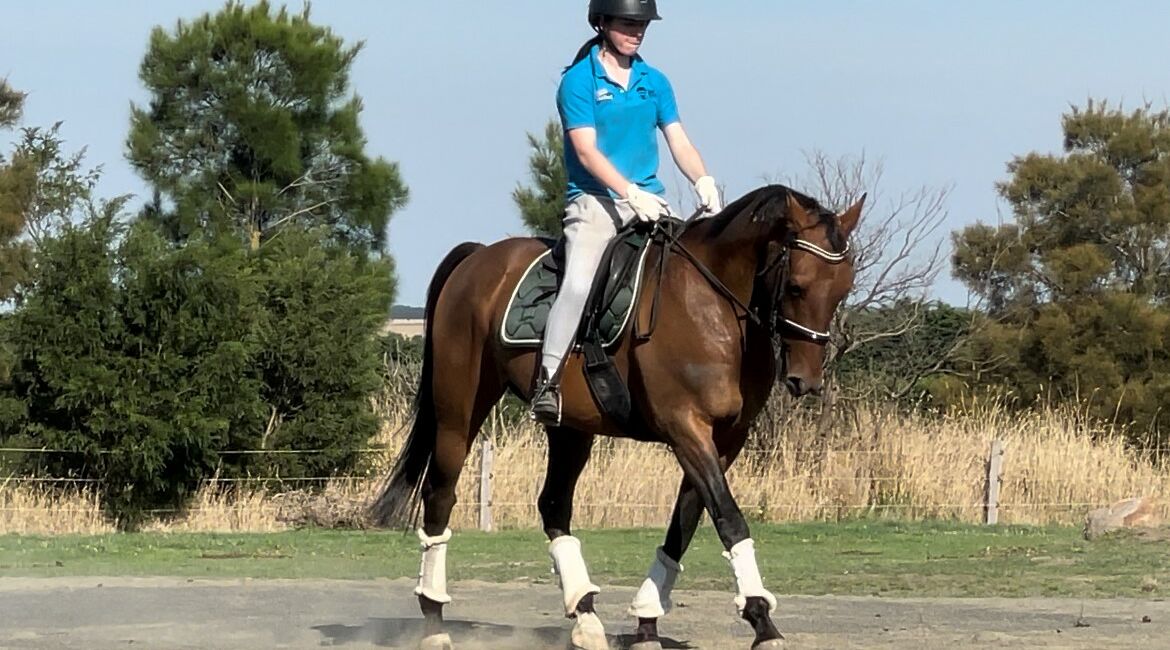 Tana Q4 - Dressage