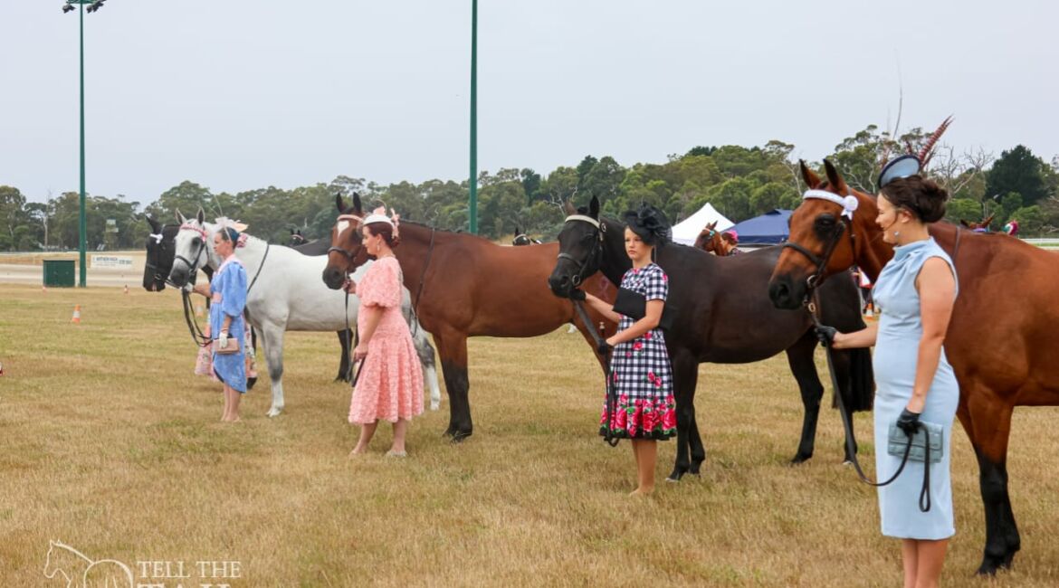 SFBCT FOTF Line Up - Tell The Tail Photography