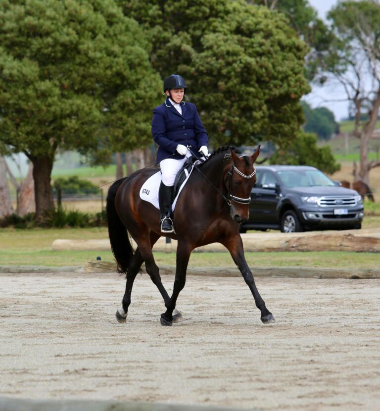 Halla the only horse with three consecutive Olympic jumper gold metals and a standardbred horse