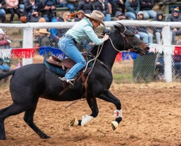 Buchan Rodeo - Blowfly Photography