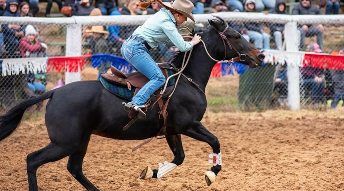 Buchan Rodeo - Blowfly Photography