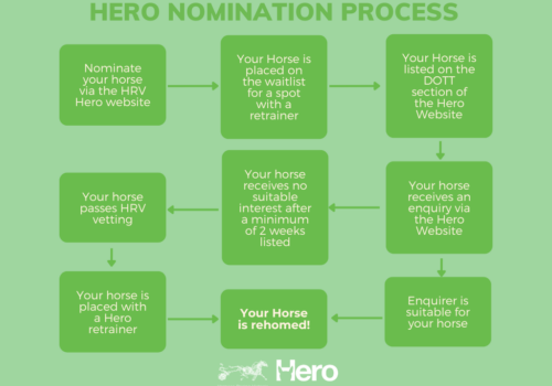 Hero Nomination Process