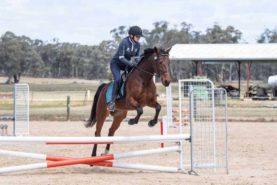 Yoshi Dynamite show jumping photo by Felicity Clay Photography