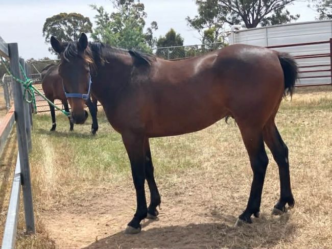 d3437bcf-c71b-4690-a6de-d5cfdab53cda