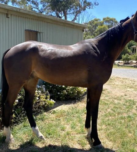 233701c0-8e22-42aa-b1d0-3d276e88a4d3 233701c0-8e22-42aa-b1d0-3d276e88a4d3