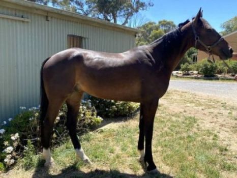 233701c0-8e22-42aa-b1d0-3d276e88a4d3 233701c0-8e22-42aa-b1d0-3d276e88a4d3