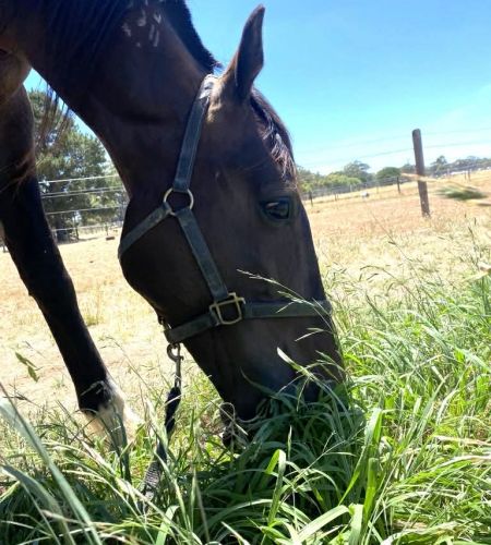 311518c8-a48b-4673-847c-7a43fd1699d1 311518c8-a48b-4673-847c-7a43fd1699d1