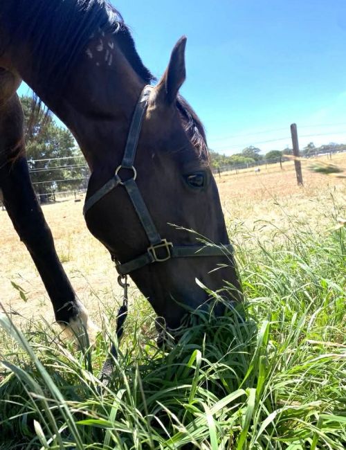 311518c8-a48b-4673-847c-7a43fd1699d1 311518c8-a48b-4673-847c-7a43fd1699d1