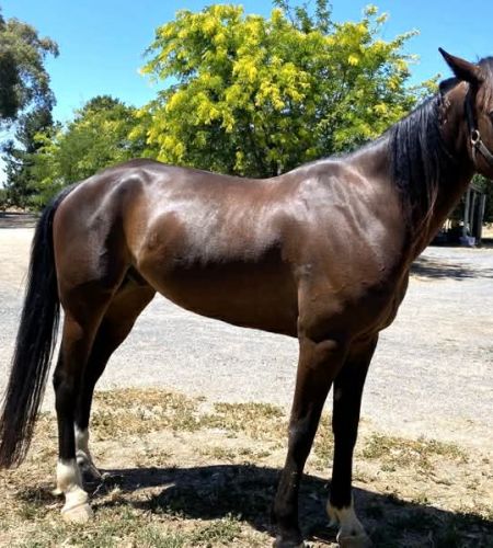 5f681c4b-db92-4d71-bf4d-e9d747274276 5f681c4b-db92-4d71-bf4d-e9d747274276