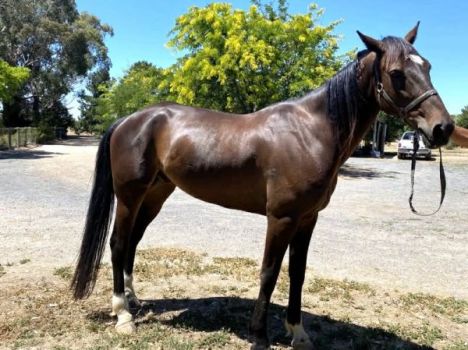 5f681c4b-db92-4d71-bf4d-e9d747274276 5f681c4b-db92-4d71-bf4d-e9d747274276