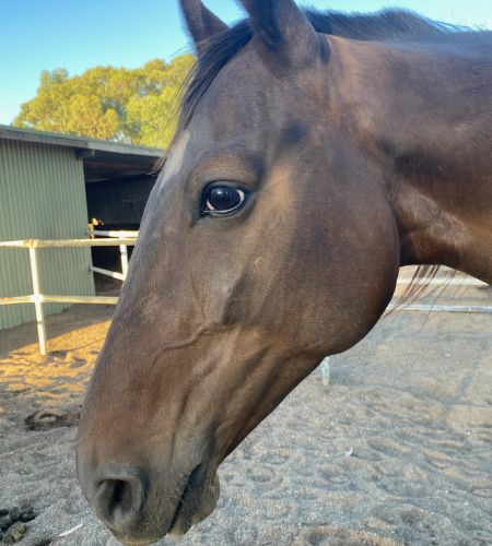 6a9be14e-8e27-4371-9704-61562176cf1a (1) 6a9be14e-8e27-4371-9704-61562176cf1a (1)