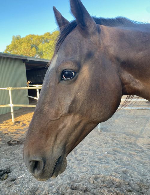 6a9be14e-8e27-4371-9704-61562176cf1a (1) 6a9be14e-8e27-4371-9704-61562176cf1a (1)