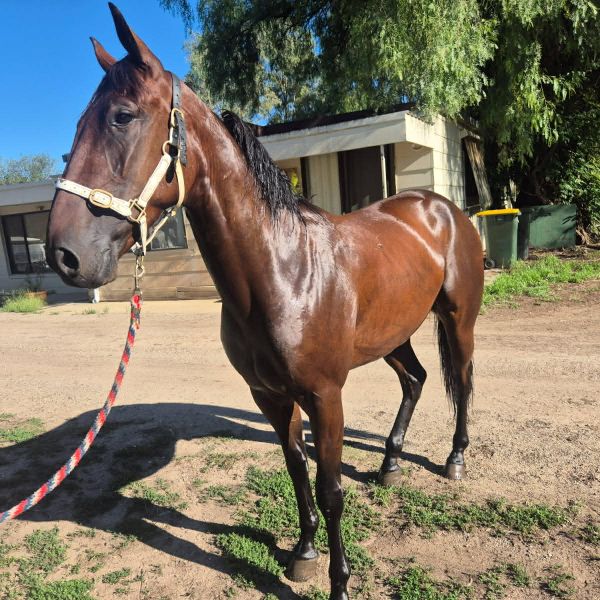 1cd2c8b9-4409-4cd7-b373-b7752904ebd0 1cd2c8b9-4409-4cd7-b373-b7752904ebd0