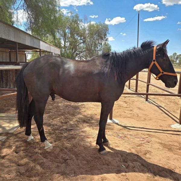 764f6995-3900-4611-9b22-eed694b672a1 764f6995-3900-4611-9b22-eed694b672a1