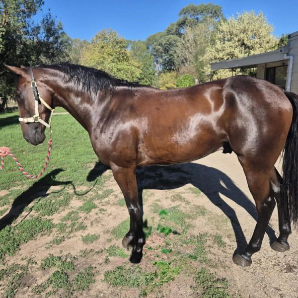 7fb4144f-65b5-4545-a490-54d350d764a1 7fb4144f-65b5-4545-a490-54d350d764a1