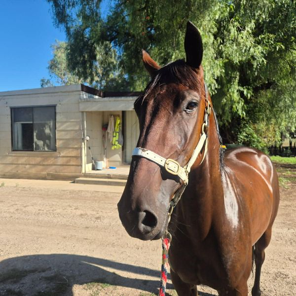 8006f640-cd6f-4dfc-8660-cdeea64212b2 8006f640-cd6f-4dfc-8660-cdeea64212b2