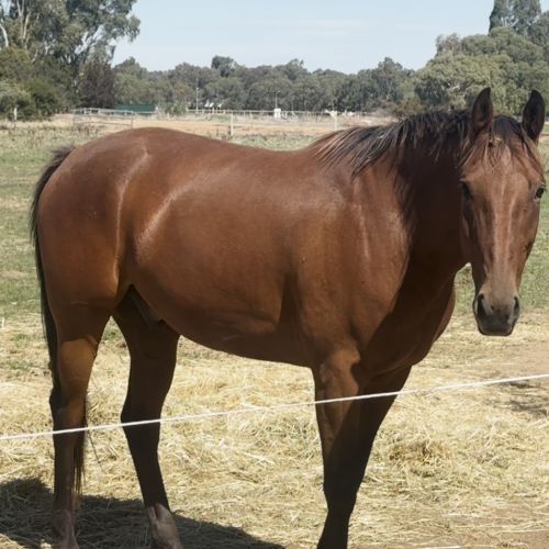 Screenshot 2026-03-18 111024 Screenshot 2026-03-18 111024