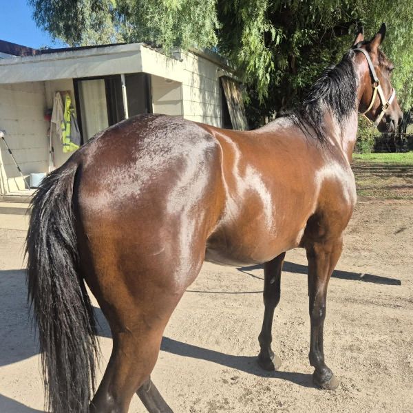 a9b10a6d-c3b8-45b8-a633-52ab500de6fe a9b10a6d-c3b8-45b8-a633-52ab500de6fe