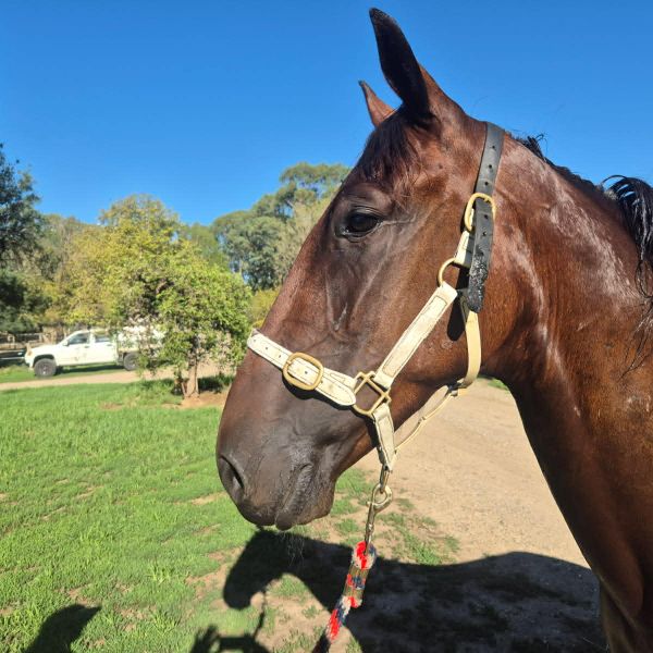 e1291442-1bcf-4abd-b442-bc4b485192d6 e1291442-1bcf-4abd-b442-bc4b485192d6