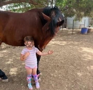 617043704_1350428520434889_4119289804956253197_n 617043704_1350428520434889_4119289804956253197_n